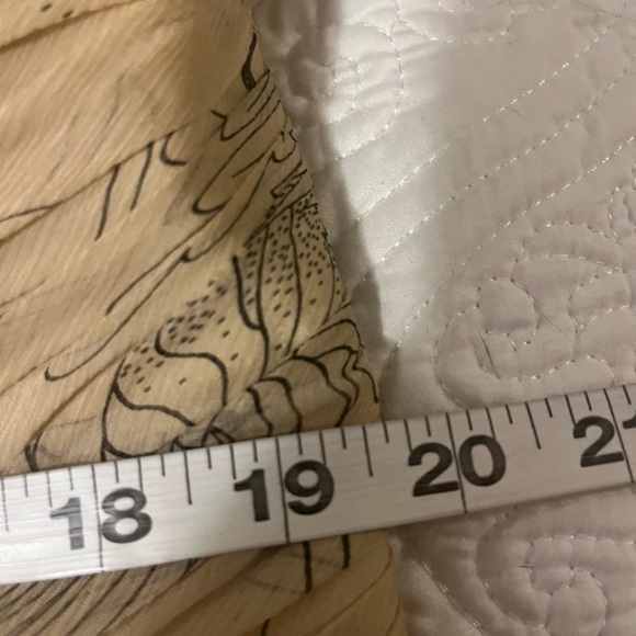 Rina diMontella Strapless Chiffon Gown in Cream and Silver, size 16W - Picture 8 of 11